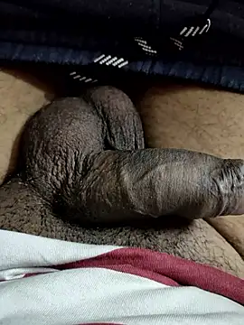 motalund802 online show from 24, 4, 2026