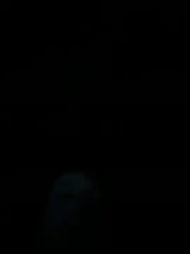 Snapshot of dropmoney chatting on 1, 12, 2025 dropmoney online show from 1, 12, 2025