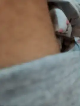 riggijaviersalas online show from 14, 11, 2025