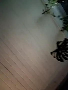 Snapshot of Nikkierosee chatting on 14, 12, 2024 Nikkierosee online show from 14, 12, 2024