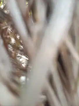 FinableKnee online show from 19, 9, 2025