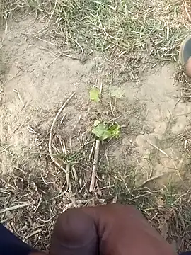 FinableKnee online show from 29, 11, 2025