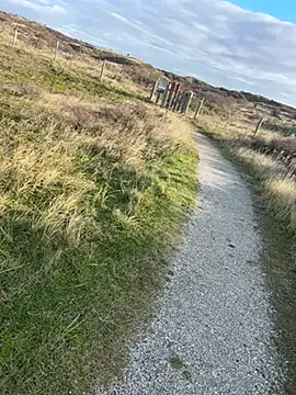 Mark3706 online show from 3, 12, 2024