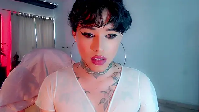 little star porn online show from 20, 2, 2025