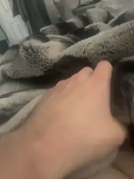 Furdale online show from 4, 12, 2024