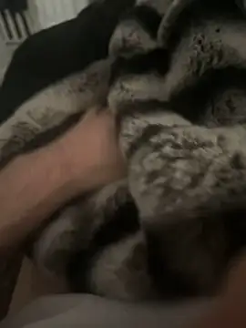 Furdale online show from 17, 12, 2024