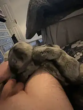 Furdale online show from 1, 1, 2025