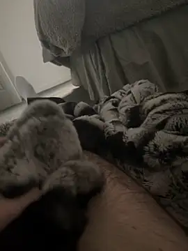 Furdale online show from 7, 1, 2025