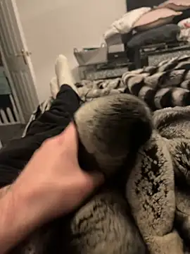 Furdale online show from 11, 2, 2025