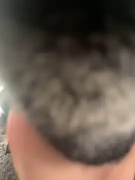 Furdale online show from 22, 2, 2025