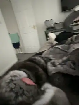 Furdale online show from 22, 9, 2025