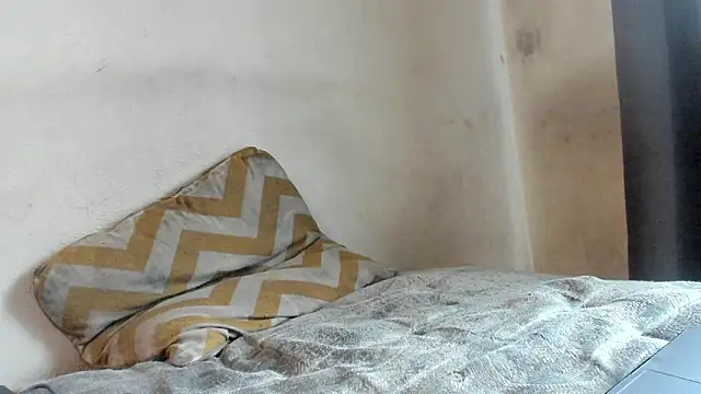 texpig online show from 7, 3, 2026