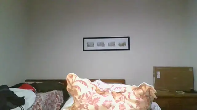 saint not online show from 14, 4, 2026