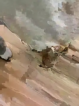 TBgril online show from 13, 1, 2026