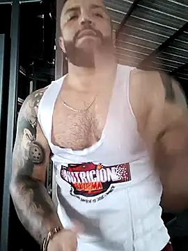 bardock 1 online show from 3, 3, 2026