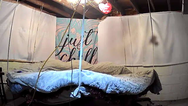 cum4calvin online show from 7, 3, 2025