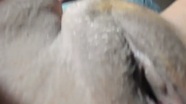 Snapshot of FrumCake chatting on 27, 12, 2024 FrumCake online show from 27, 12, 2024