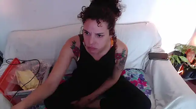 deftoolceles online show from 13, 12, 2024