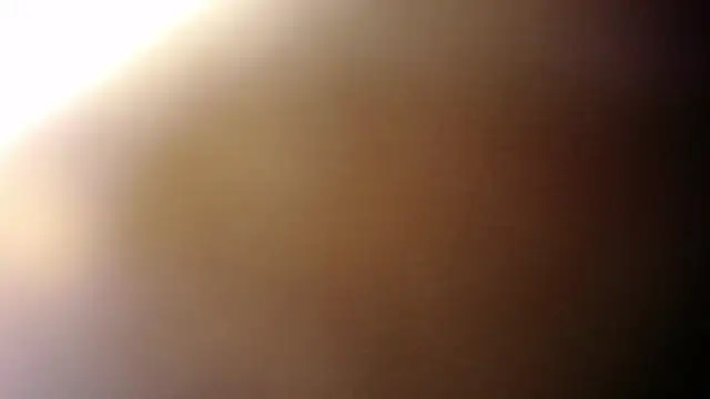 beauti wild25 online show from 14, 2, 2025