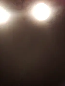 lilianashemale online show from 1, 11, 2025