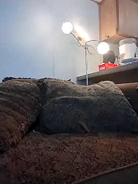 Yankeedave420 online show from 16, 3, 2026