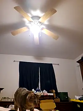 Snapshot of ScarletCallings420 chatting on 19, 2, 2025 ScarletCallings420 online show from 19, 2, 2025