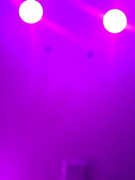 Snapshot of ScarletCallings420 chatting on 24, 2, 2025 ScarletCallings420 online show from 24, 2, 2025