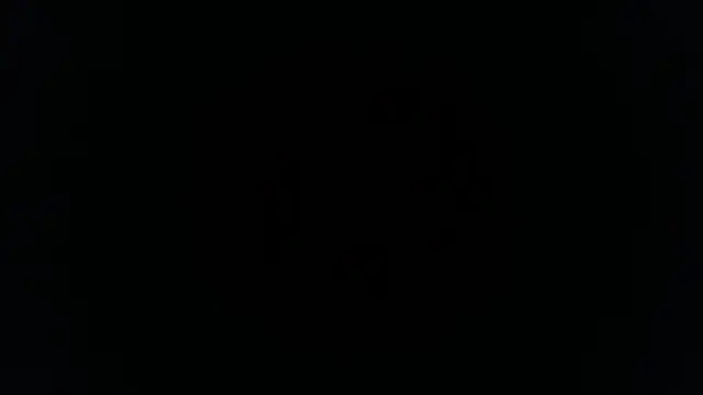 palidin1 online show from 26, 11, 2025