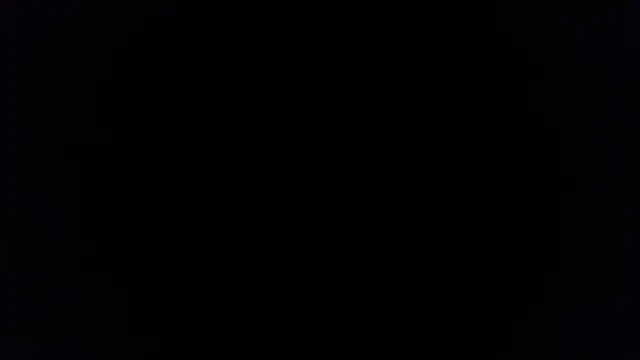 palidin1 online show from 5, 12, 2025