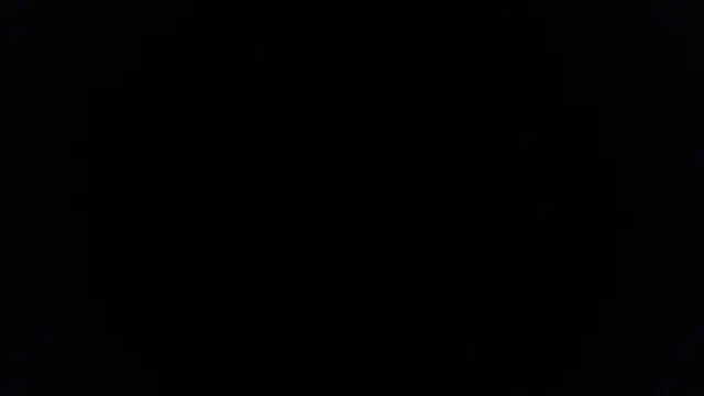 palidin1 online show from 9, 2, 2026