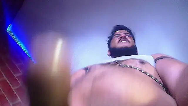 the master foal  online show from 23, 1, 2025