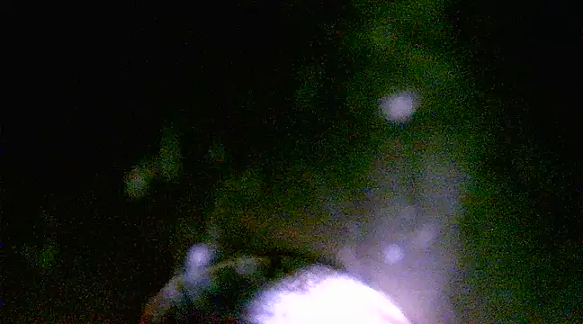 h0ney lips online show from 1, 3, 2025