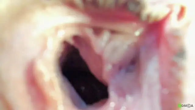 Courtney Luv online show from 19, 9, 2025