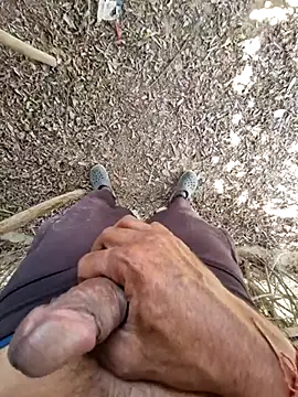 breejs online show from 15, 11, 2025