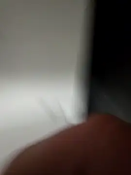 WhiteMeat069 online show from 3, 12, 2024