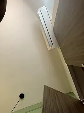 ROSE  15 online show from 1, 10, 2025