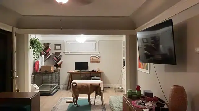 dreamyriri online show from 15, 3, 2026