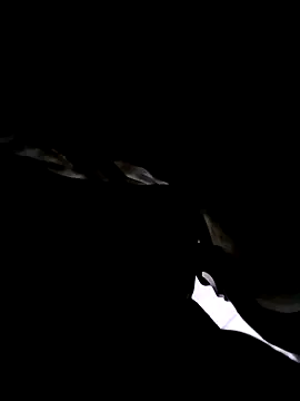 74bob online show from 21, 9, 2025