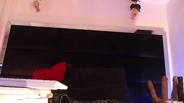 StefyFerrer online show from 12, 7, 2026