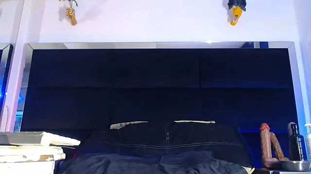 StefyFerrer online show from 2, 8, 2026