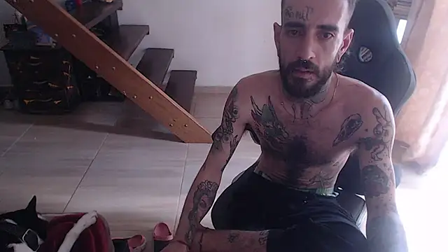 harry reems1 online show from 17, 1, 2025