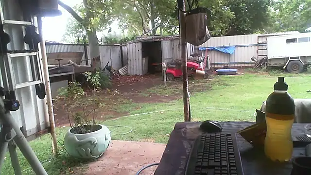 herbie010666 online show from 23, 12, 2025