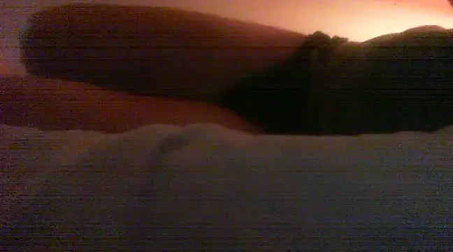 patrasdick94 online show from 13, 2, 2025