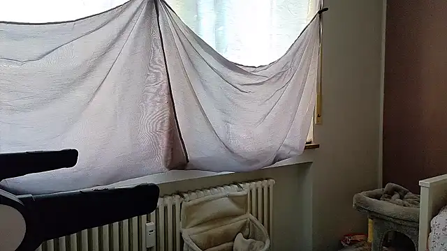 wetgerman 2 online show from 28, 9, 2025