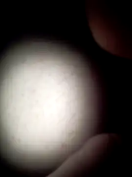 Snapshot of commonjust chatting on 26, 11, 2025 commonjust online show from 26, 11, 2025