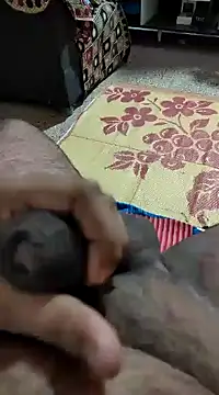 Swift2006 online show from 11, 2, 2025