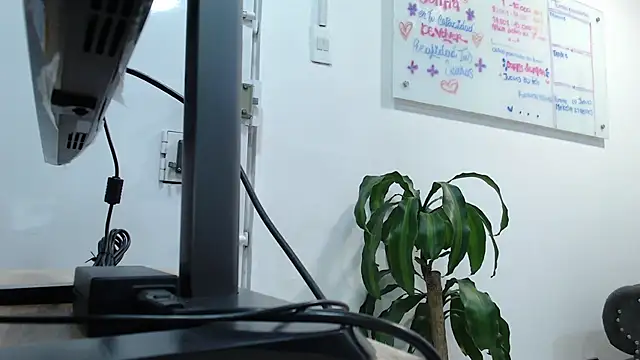  kishy alec online show from 21, 2, 2025