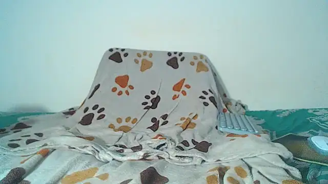 Snapshot of maihton_xx chatting on 3, 2, 2026 maihton xx online show from 3, 2, 2026