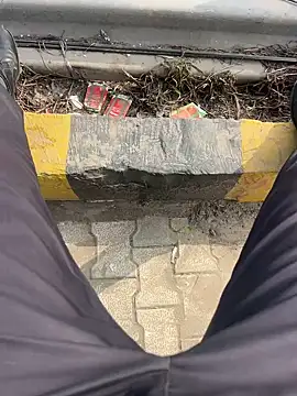 Bareilly Boy1 online show from 18, 1, 2025