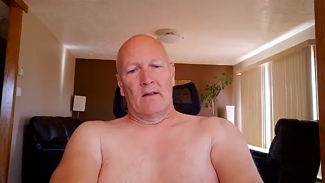 Snapshot of BasicAnt chatting on 15, 7, 2026 BasicAnt online show from 15, 7, 2026